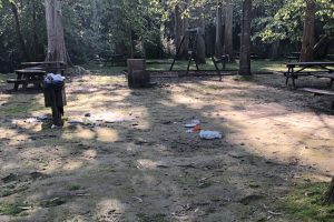 IMG-3542