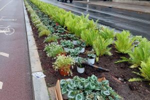 Arreglos floras para la Cumbre Hispano-Alemana