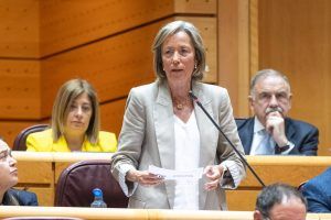 FOTO INTERVENCIÓN ROSA GALLEGO