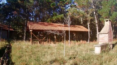 IMG-20250403-WA0066